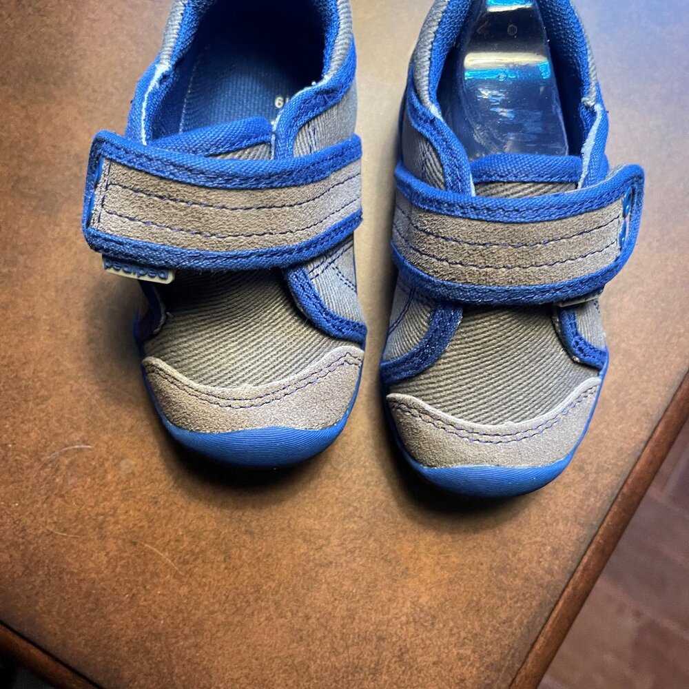 pediped john grey blue sneaker